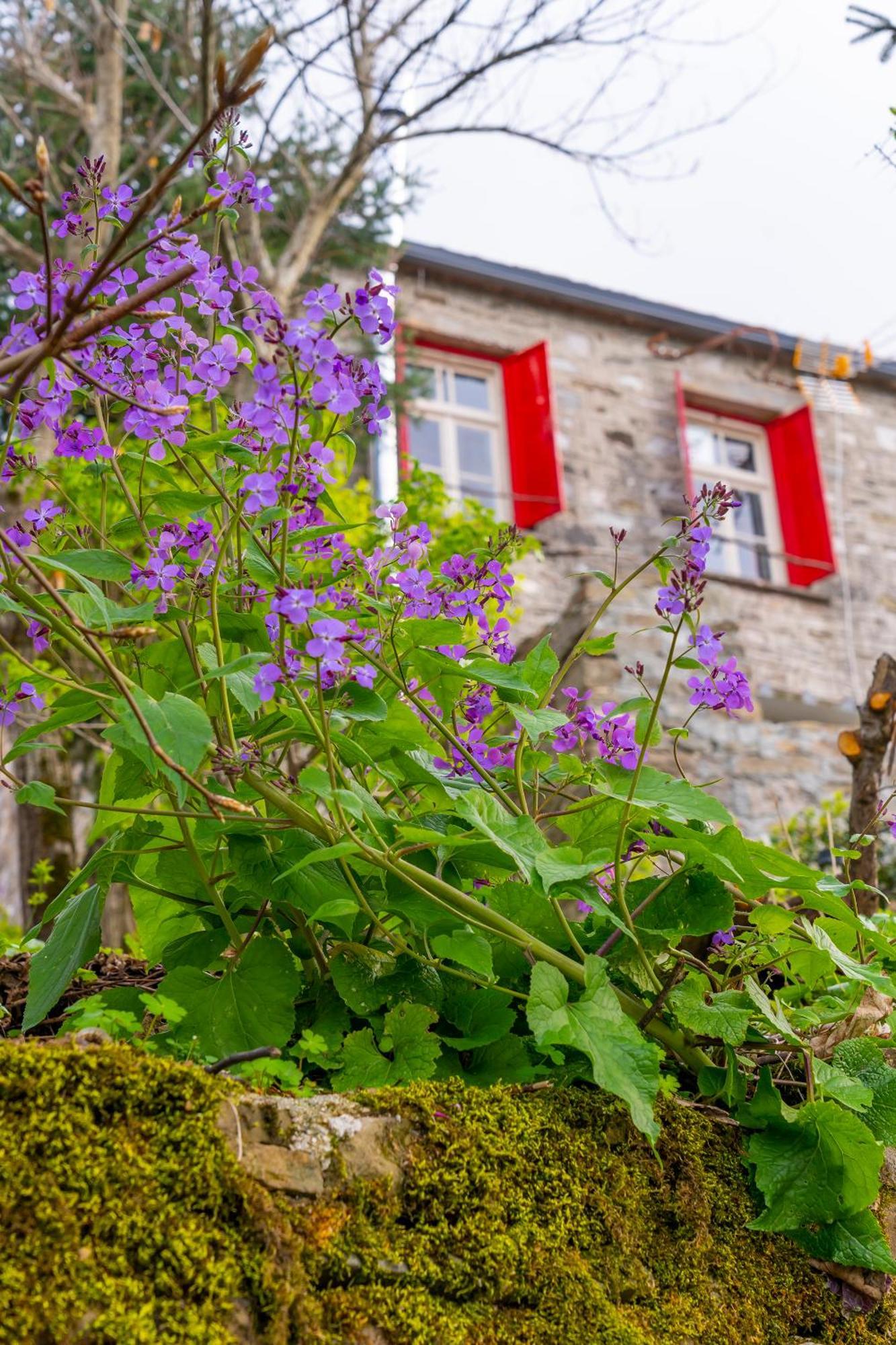 Hotel Shamrock Elati Retreats Exteriér fotografie